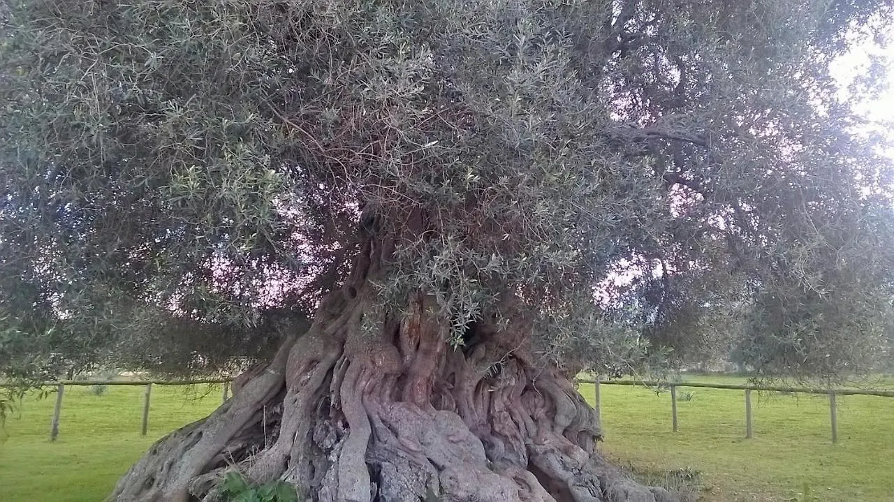 Casa Vacanze Su Coru E Su Entu Villamassargia 0*,  Italy